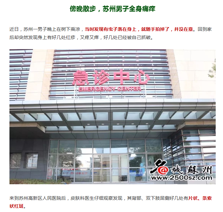 隐翅虫报道，名城苏州，20190623.png