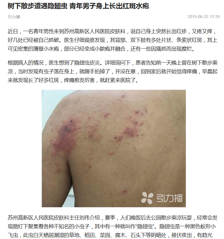 隐翅虫报道，城市商报，20190626.png