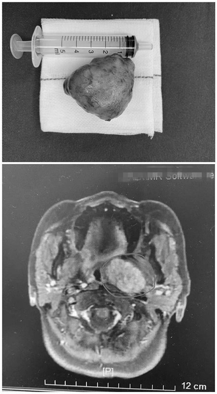 initpintu_副本.jpg