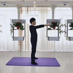 5.深蹲.gif