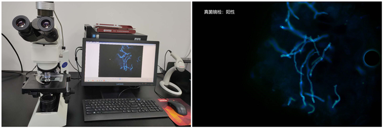 图片18_副本.png