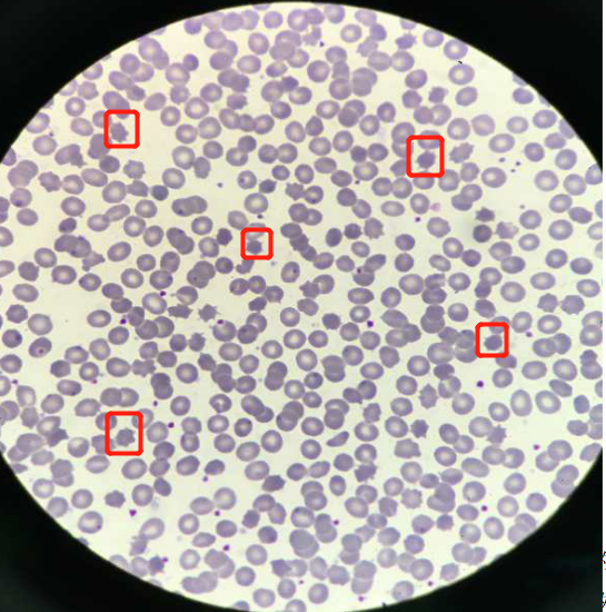 1592875136869705.png 图片12.png